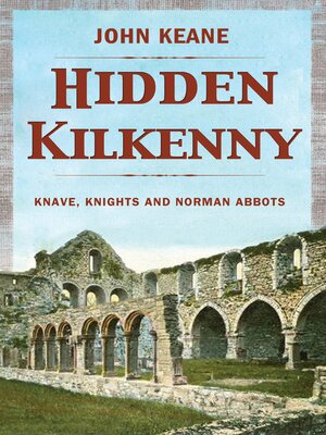 cover image of Hidden Kilkenny